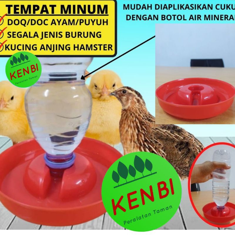 Tempat Minum Otomatis Ayam Puyuh Bebek DOC ,DOD, DOQ UNGGAS