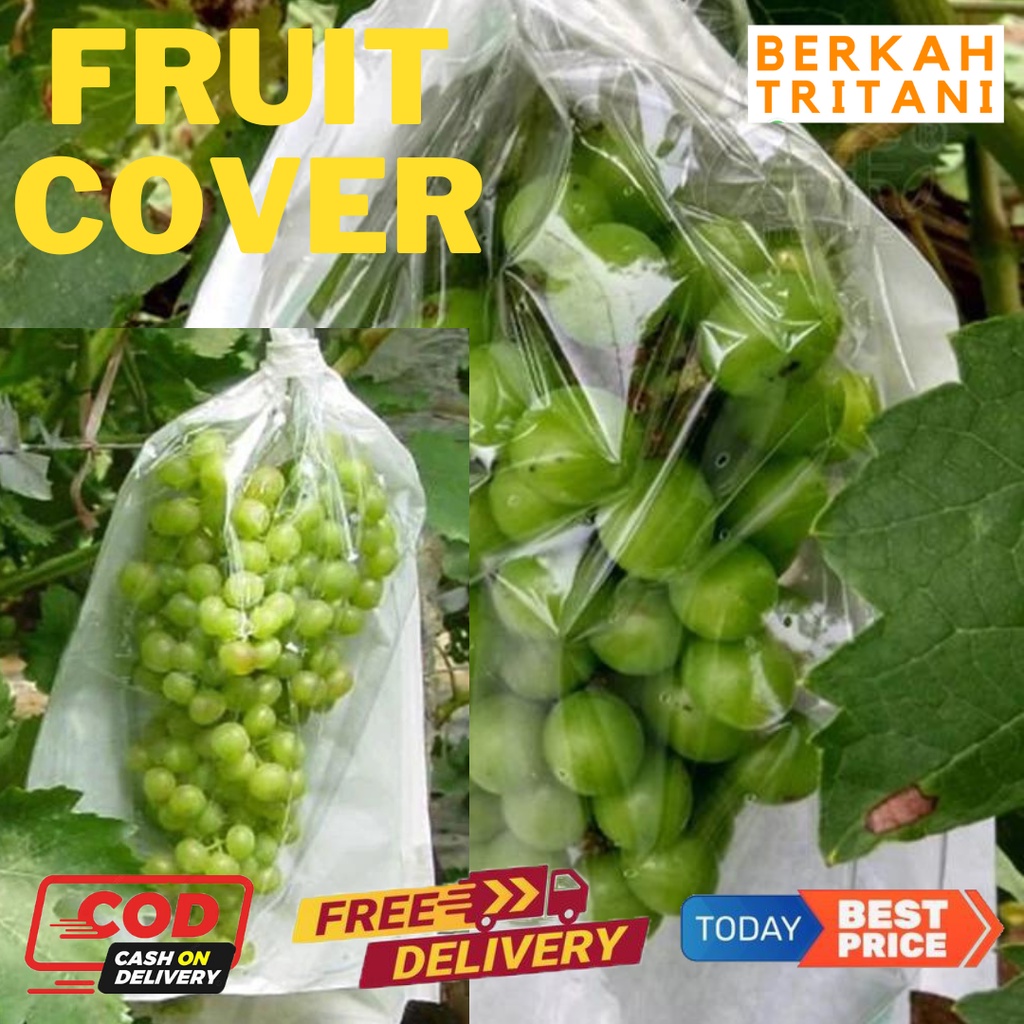 Fruit Cover Brongsong Buah Anggur, Klengkeng, Strawberry Dll, Pembungkus Buah