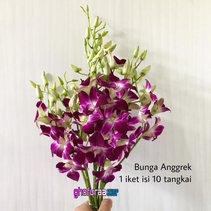Bunga Anggrek Asli Bunga Anggrek Ungu Dekorasi Hiasan Tanaman Shopee Indonesia