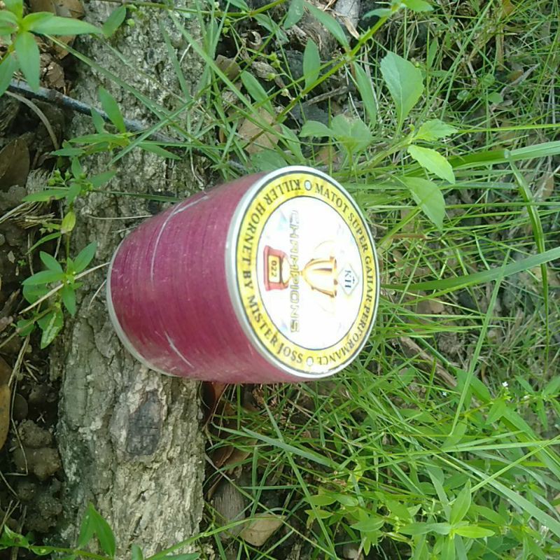 TERMURAH Gelasan Killer hornet CHAMPIONS KHUSUS TURNAMEN