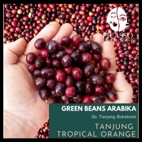 

DISKON TERBATAS !!! ARABICA GREEN BEANS | TANJUNG TROPICAL ORANGE (FULLWASH) TERLARIS
