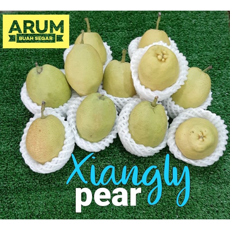 

Pir Xiangly Fresh 1kg