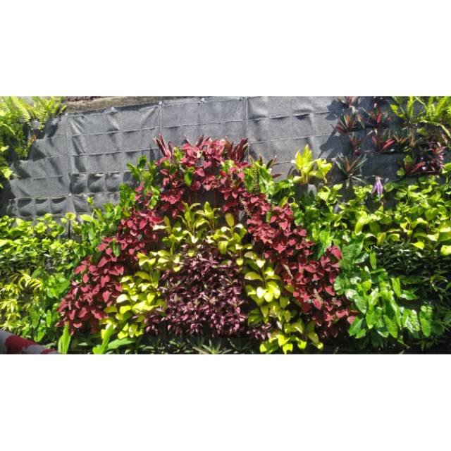 VERTICAL GARDEN/POT DINDING geotextile