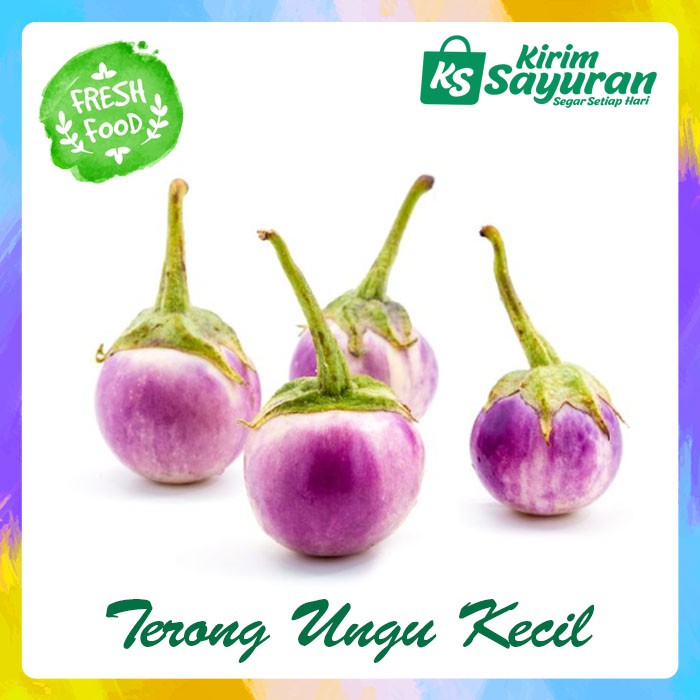 

Terong Ungu Bulat Kecil (pack)