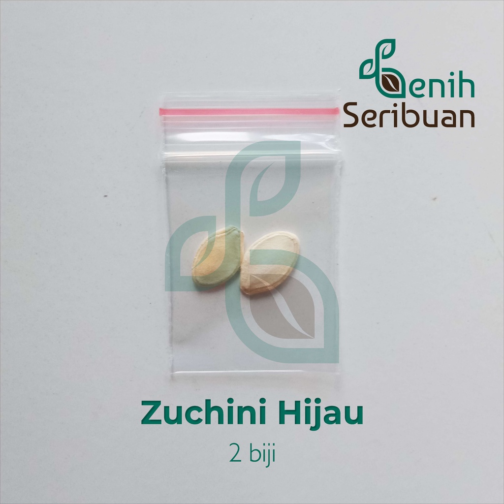 2 Benih Zucchini Hijau Jewel F1 Hibrida Bibit Sayuran Timun Jepang Zuchini Tanaman Sayur Berkualitas-4