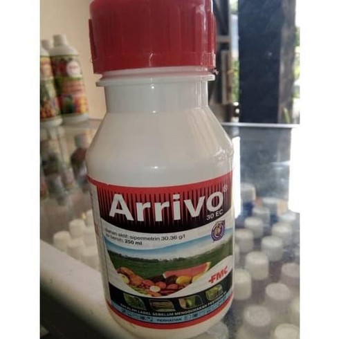 

Insektisida Arrivo 30 EC 250ml