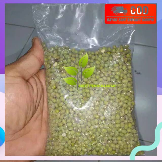 Kacang hijau super