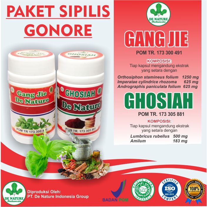 Antibiotik Alami Obat Sipilis|Gonore|Kencing Nanah|Raja Singa Gangjie Ghosiah De Nature