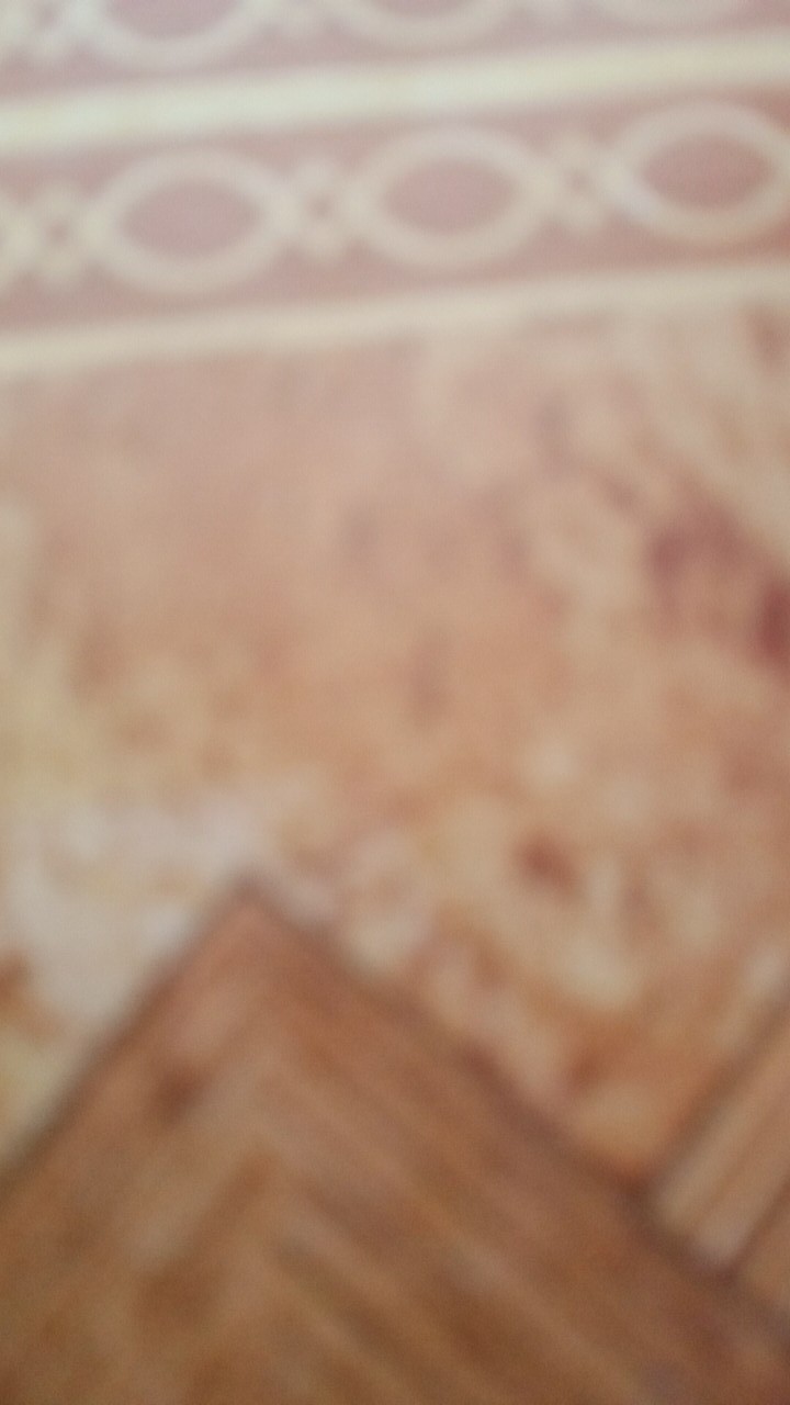 Men Sale Kemeja Batik Slimfit Modern Best Quality Atasan Couple Standar Butik Kerang Coklat