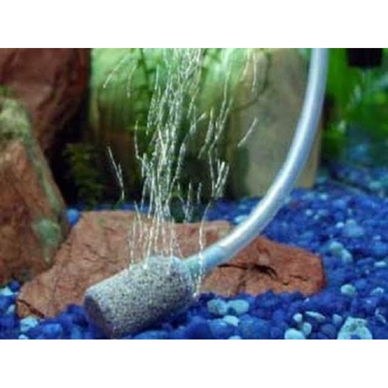 Batu Gelembung Mini Air Stone 20 x 30 mm Batu Aerator Akuarium 3CM 3 CM