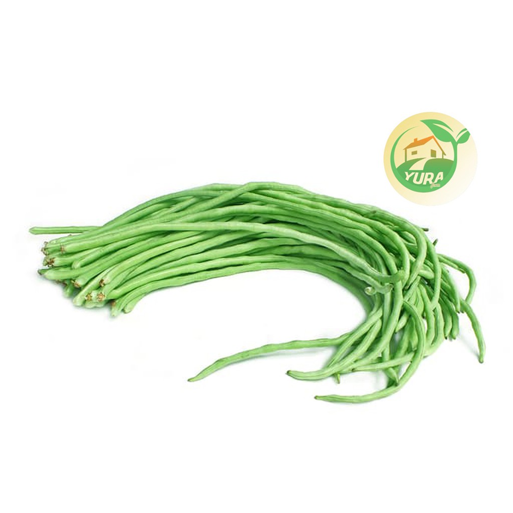 

KACANG PANJANG Organik 100% Sayur Segar Organic