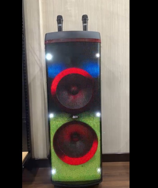 Speaker Bluetooth G-POWER Gedi 12 Inch Free 2 Mic Wireless Mirophone Lampu Cantik