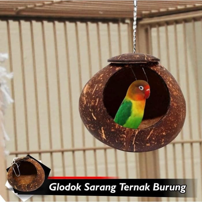 GLODOK BATOK RUMAH SARANG BERTELUR BURUNG LOVEBIRD KENARI ...