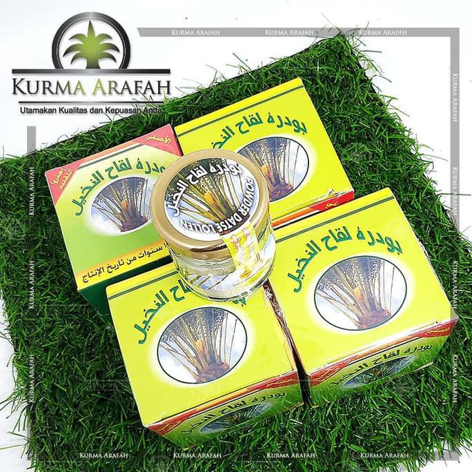

Ready Stock Limited! Serbuk Kurma Muda Powder Dates Lollen Original - Araf111273