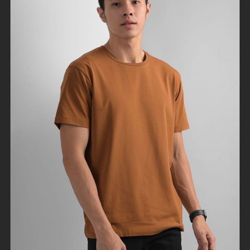 BASIC TEES LIGHT BROWNby male id