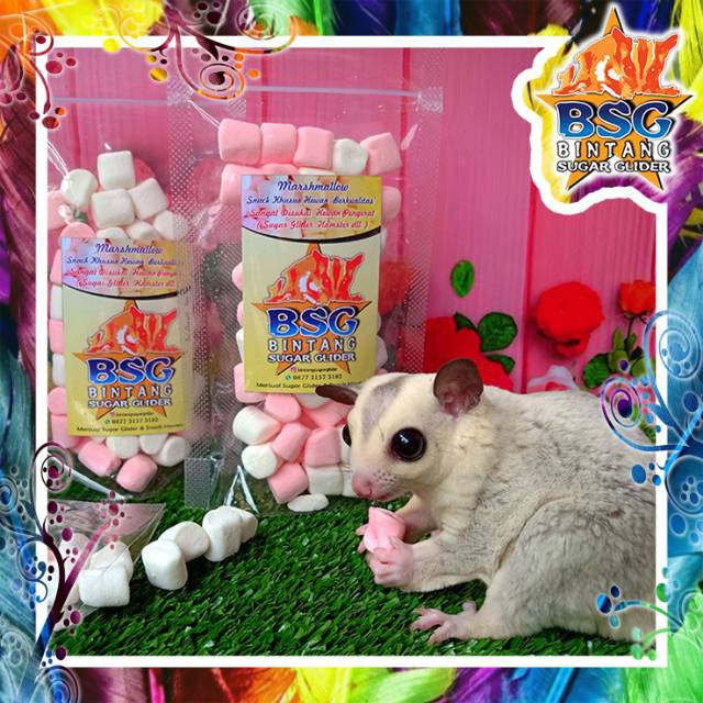 Jual Marshmallow Sugar glider / Snack Sugar Glider / Cemilan Hewan