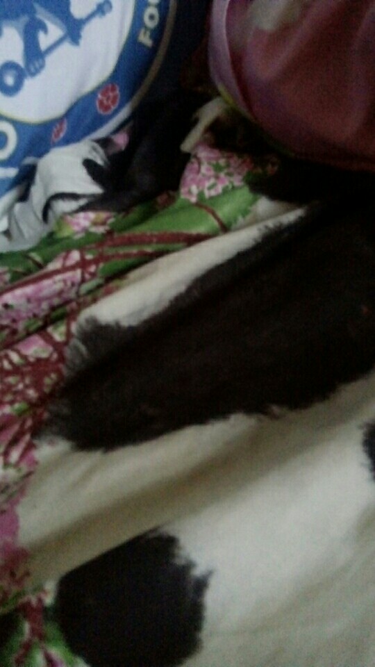 Kemeja Batik Pria Modern Lengan Panjang Casual Modis Slim Fit Trendy Masa Kini