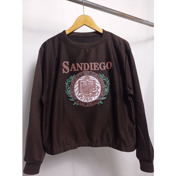 SANDIEGO CROOPE SWEATER VREWNECK