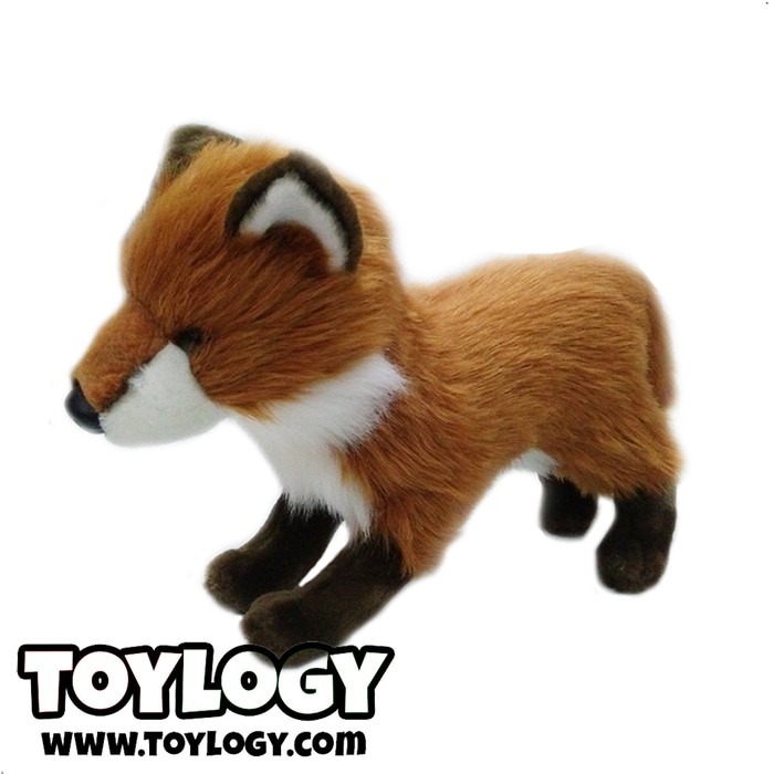 9700 Koleksi Gambar Hewan Rubah Merah Terbaru