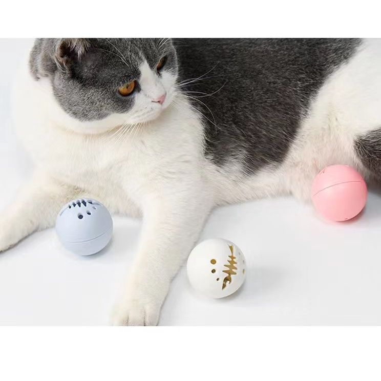 Mainan Kucing Fishbone Ball 3in1 Set Kombinasi Hewan Peliharaan(LED+lonceng+catnip)Pet Cat Toy