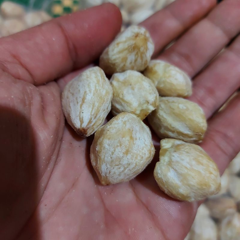 

Kemiri Bulat | Kemiri Keping | Fresh dan Pilihan | 500gr | 1kg