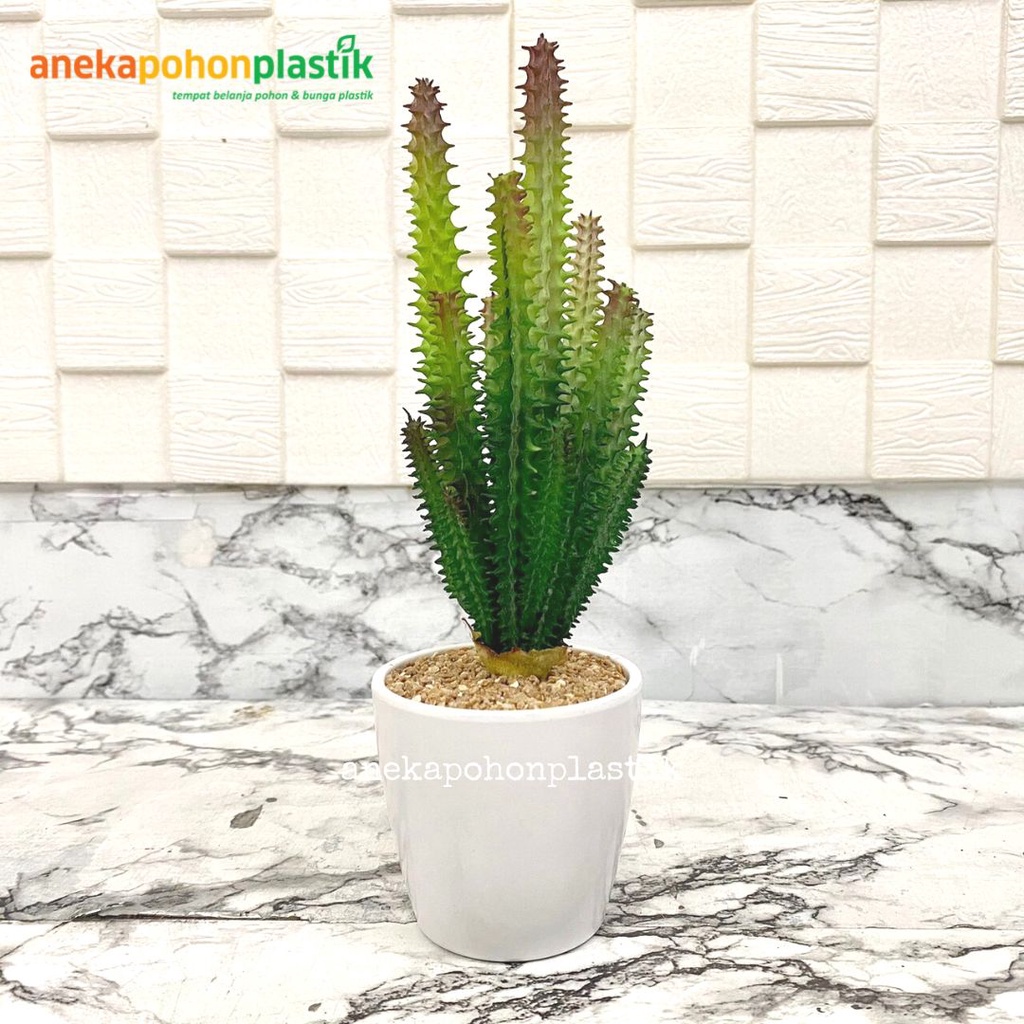 Tanaman Hias Artificial Kaktus Menara Group Latex Pot Gelas Melamine Mini Pohon Plastik Pajangan Mej