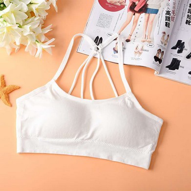 Sport Bra Import / Bra Import Tanpa Kawat 199