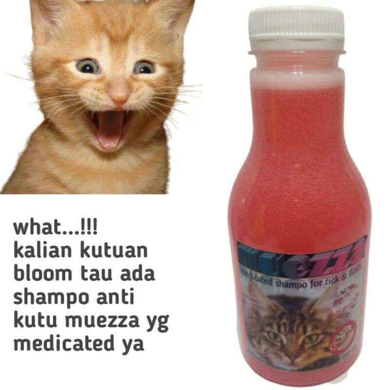 muezza medicated shampo pengobatan sampo obat anti kutu jamur tick Flea untuk kucing anjing musang murah manjur promo diskon terlaris