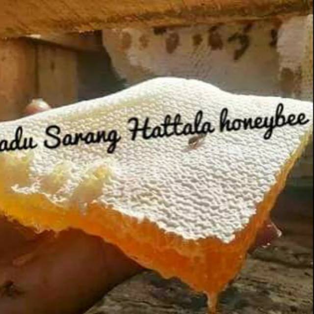 

MADU SEHAT