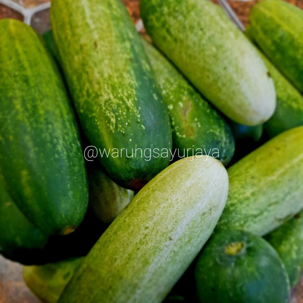 

Timun / Mentimum 500 gram