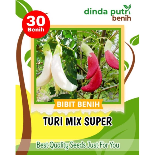 Benih Kembang Turi Mix(merah&putih) 30biji/bibit pakan ternak/benih turi super