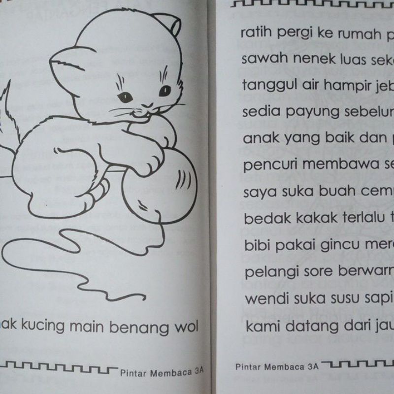 Buku Pintar Membaca Untuk TK &amp; SD 3a - 3b