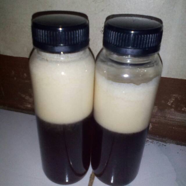 

Madu murni hutan blantara