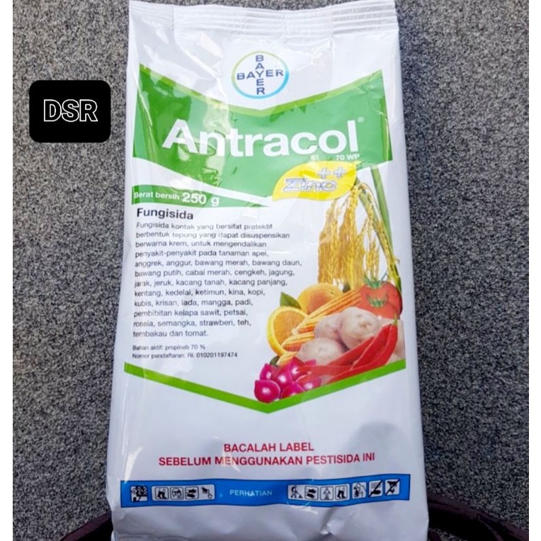 ANTRACOL 70WP (250gram)