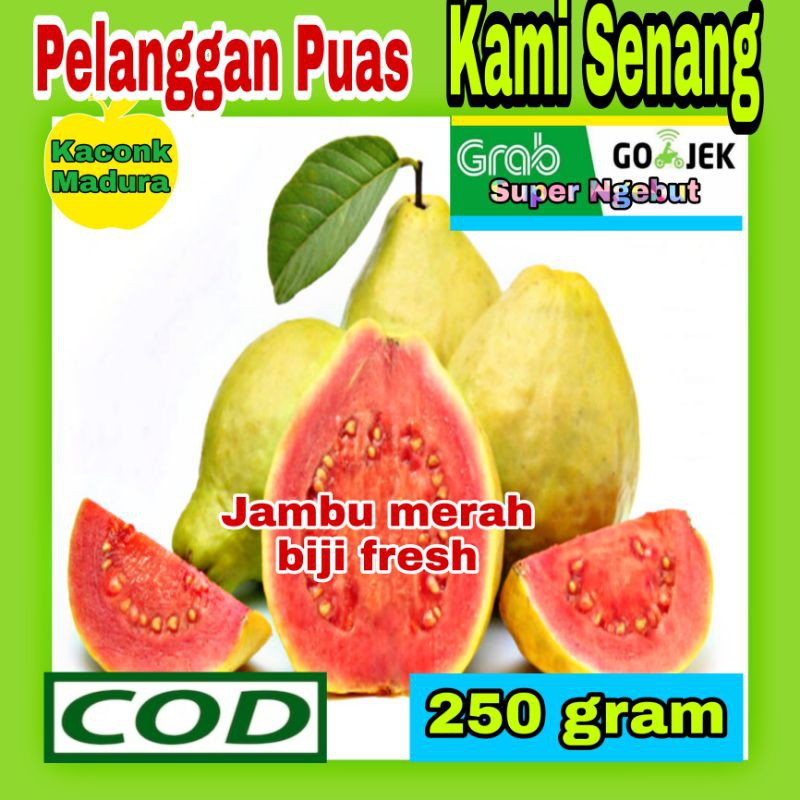

Jambu merah biji (250 gram/0.25 kg) buah segar fresh kaya manfaat