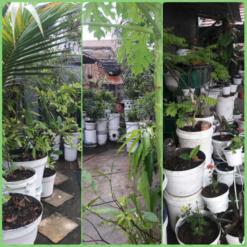 Ember bekas | Ember bekas 25kg