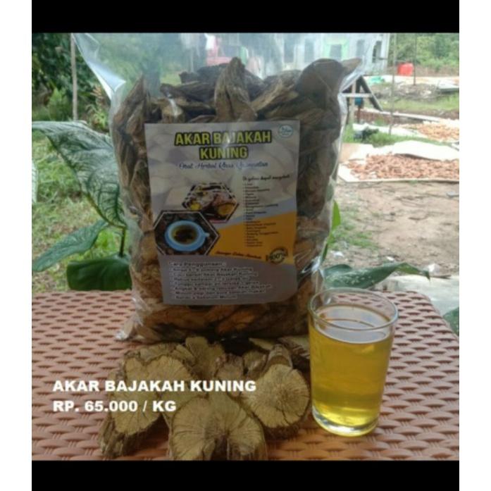 

Bajakah Akar kuning