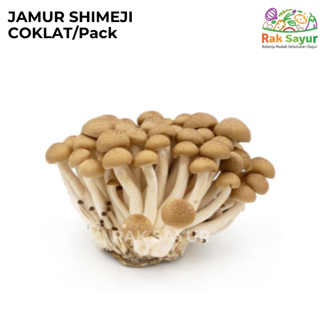 Jual Jamur Shimeji Coklat 1 Pack Sayur Fresh Import Padang Shopee