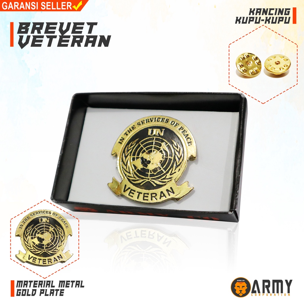brevet wing veteran UN / pin veteran