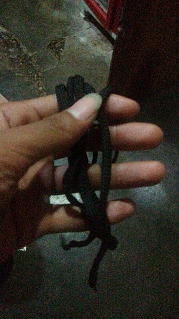 Tali Sepatu