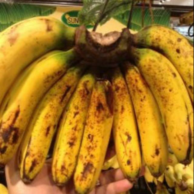 

Buah pisang barangan medan