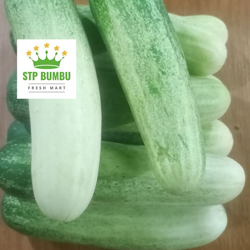 Timun Muda Segar 1 kg / Sayur Mentimun Fresh 1kg