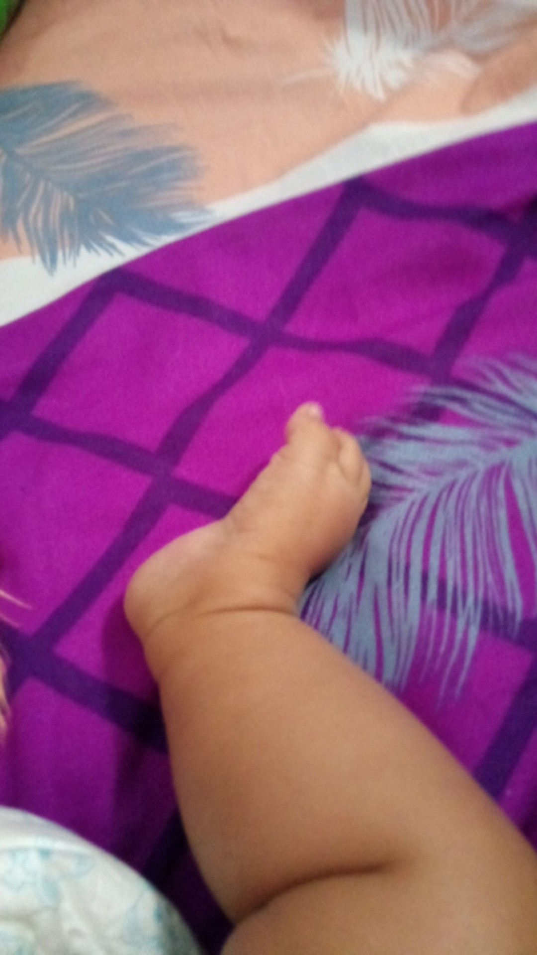 Spons Cuci Piring / Spons Serbaguna 1 Pieces