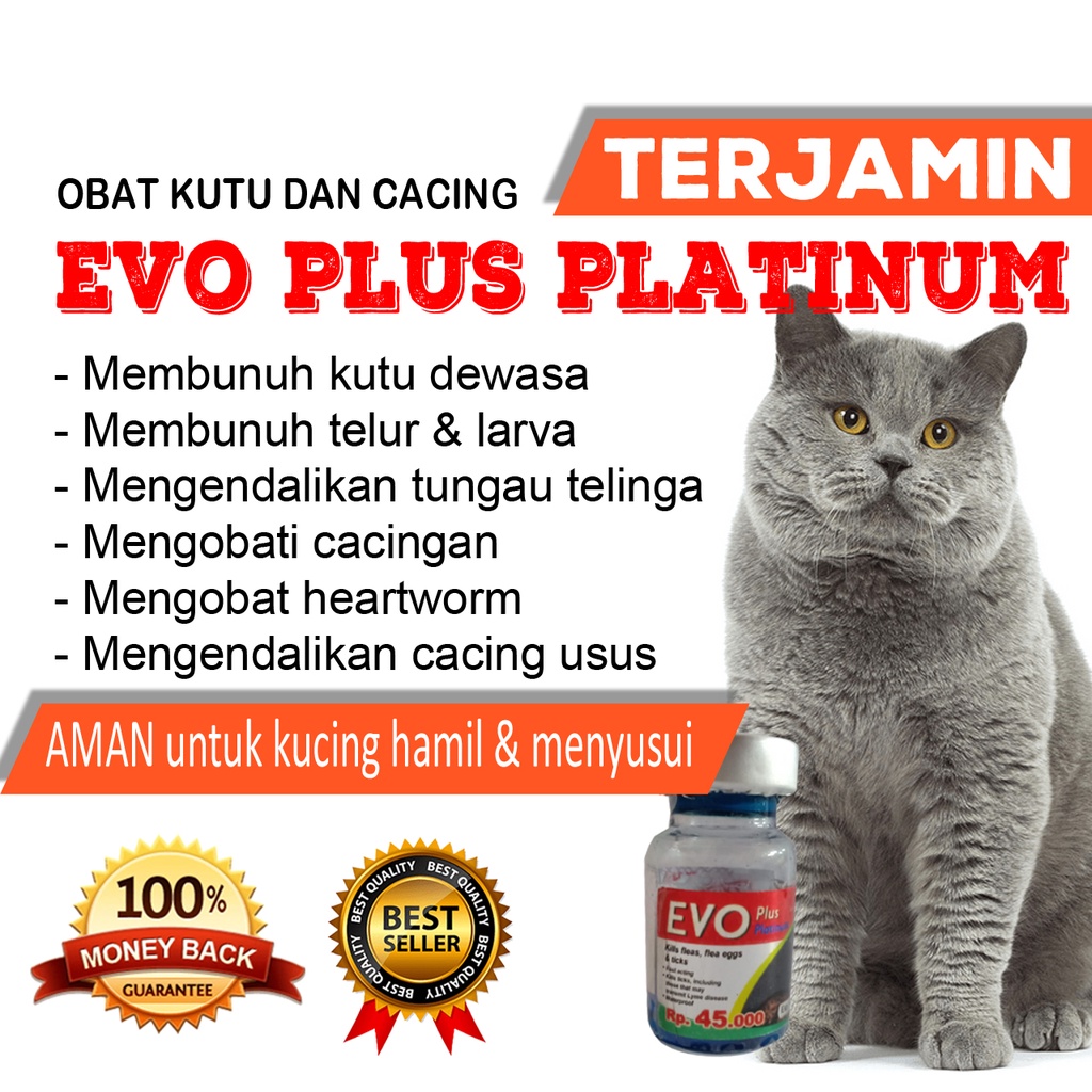 OBAT KUTU DAN CACING SEKALIGUS SERTA MENGENDALIKAN TUNGAU TELINGA PADA KUCING AMAN UNTUK KUCING HAMIL DAN MENYUSUI  FORMULA BY GERMANY - EVO PLUS PLATINUM