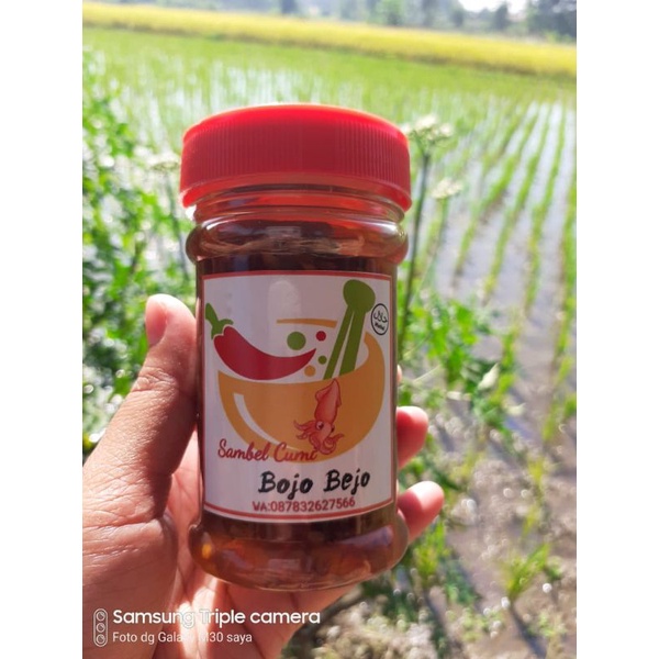 

Sambal Baby Cumi bojo bejo