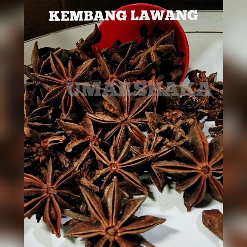 

KEMBANG LAWANG/PEKAK