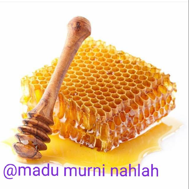 

Jual Madu sarang asli tanpa campuran