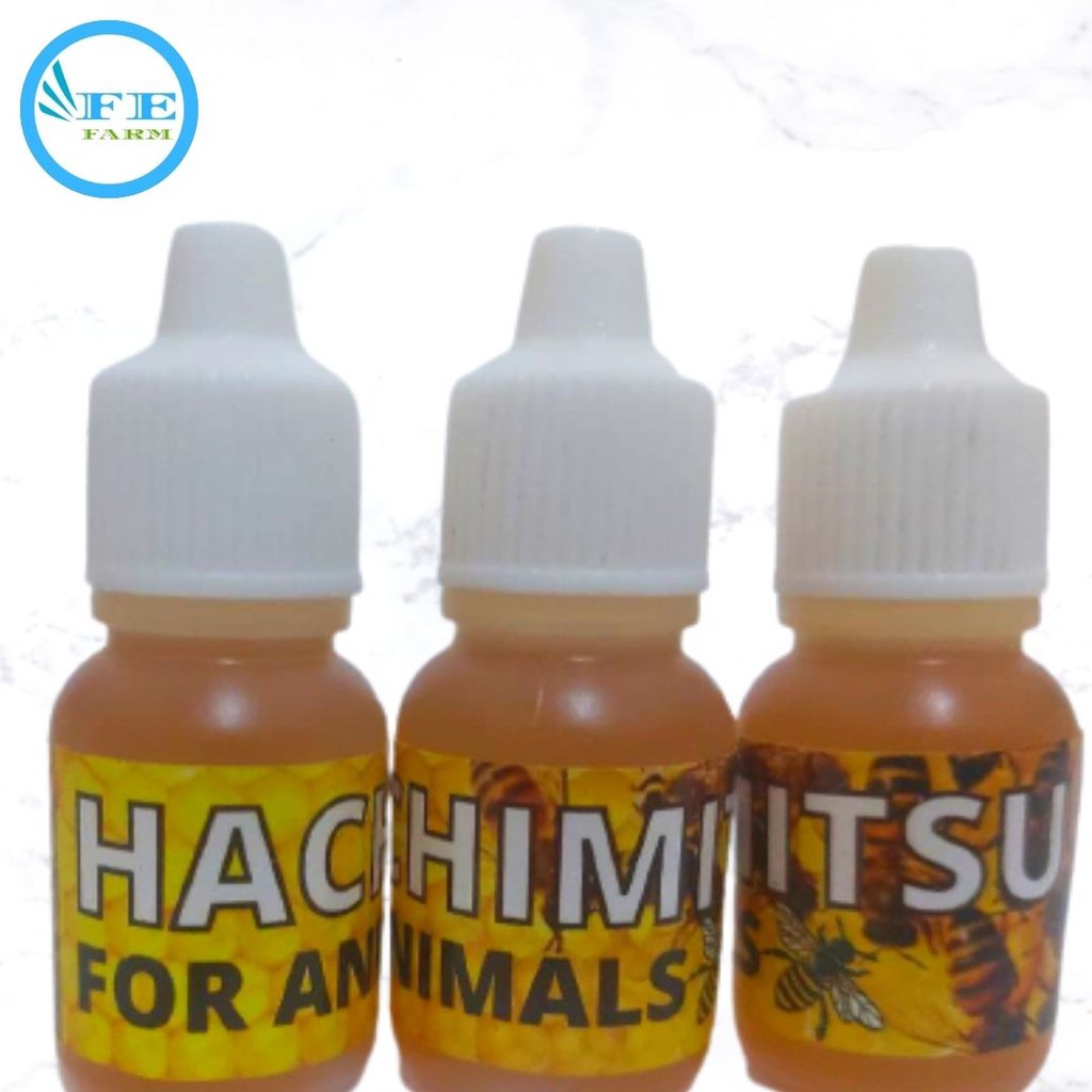 Madu Kucing Anjing Hamster Glider Penunjang Daya Tahan Nafsu Makan Vitamin HATCHIMITSU FEFARM