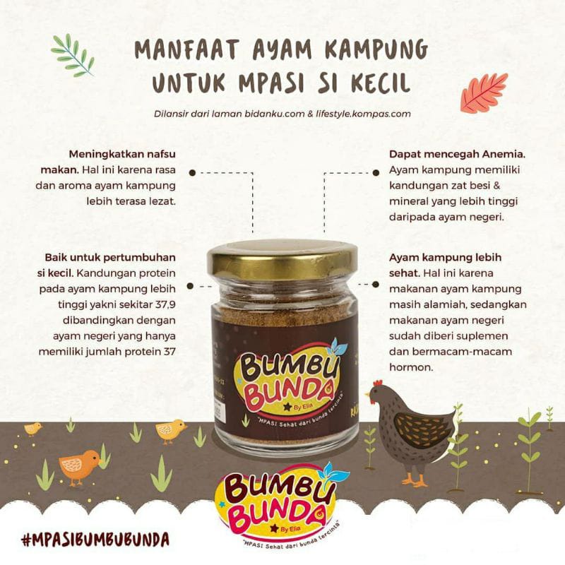 Bumbu Bunda Rasa Ayam Kampung | Kaldu Mpasi Bayi | Non msg 50g