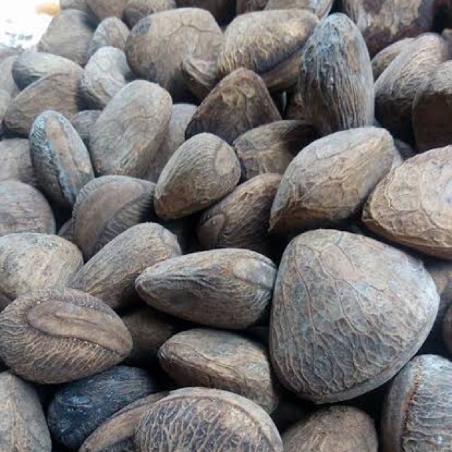 

Kluwak/Kepayang 250 gram - sayur curah